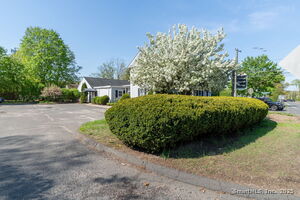 Homes for sale in Canton, CT | 141 Dowd Ave, Canton, CT 06019 | MLS# 24137489