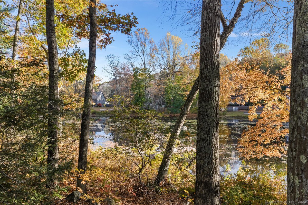 Photo 28 of 65 Main Street, Essex, CT