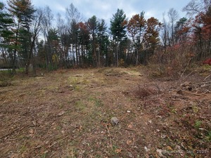 Homes for sale in Ellington, CT | 14 Cherrywood Dr, Ellington, CT 06029 | MLS# 24135214