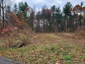 Homes for sale in Ellington, CT | 14 Cherrywood Dr, Ellington, CT 06029 | MLS# 24135214