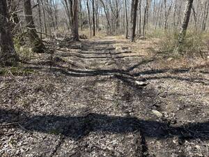 Homes for sale in Franklin, CT | 64 Whippoorwill Rd, Franklin, CT 06254 | MLS# 24138379