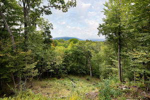 Homes for sale in Salisbury, CT | 8 Tokone Hills Rd, Salisbury, CT 06039 | MLS# 24138635