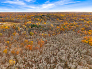 Homes for sale in Madison, CT | 247 C Old Toll Rd, Madison, CT 06443 | MLS# 24138926