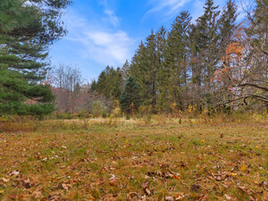 Homes for sale in Madison, CT | 247 C Old Toll Rd, Madison, CT 06443 | MLS# 24138926