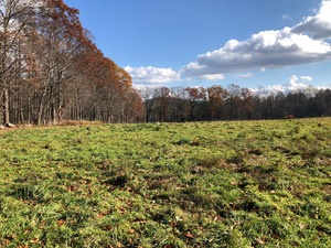 Homes for sale in Colebrook, CT | 11 Shantry Rd, Colebrook, CT 06021 | MLS# 24138373