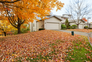 Homes for sale in Avon, CT | 5 Thistle Holw #5, Avon, CT 06001 | MLS# 24131196