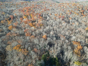 Homes for sale in Mansfield, CT | Middle Turnpike, Mansfield, CT 06268 | MLS# 24137785