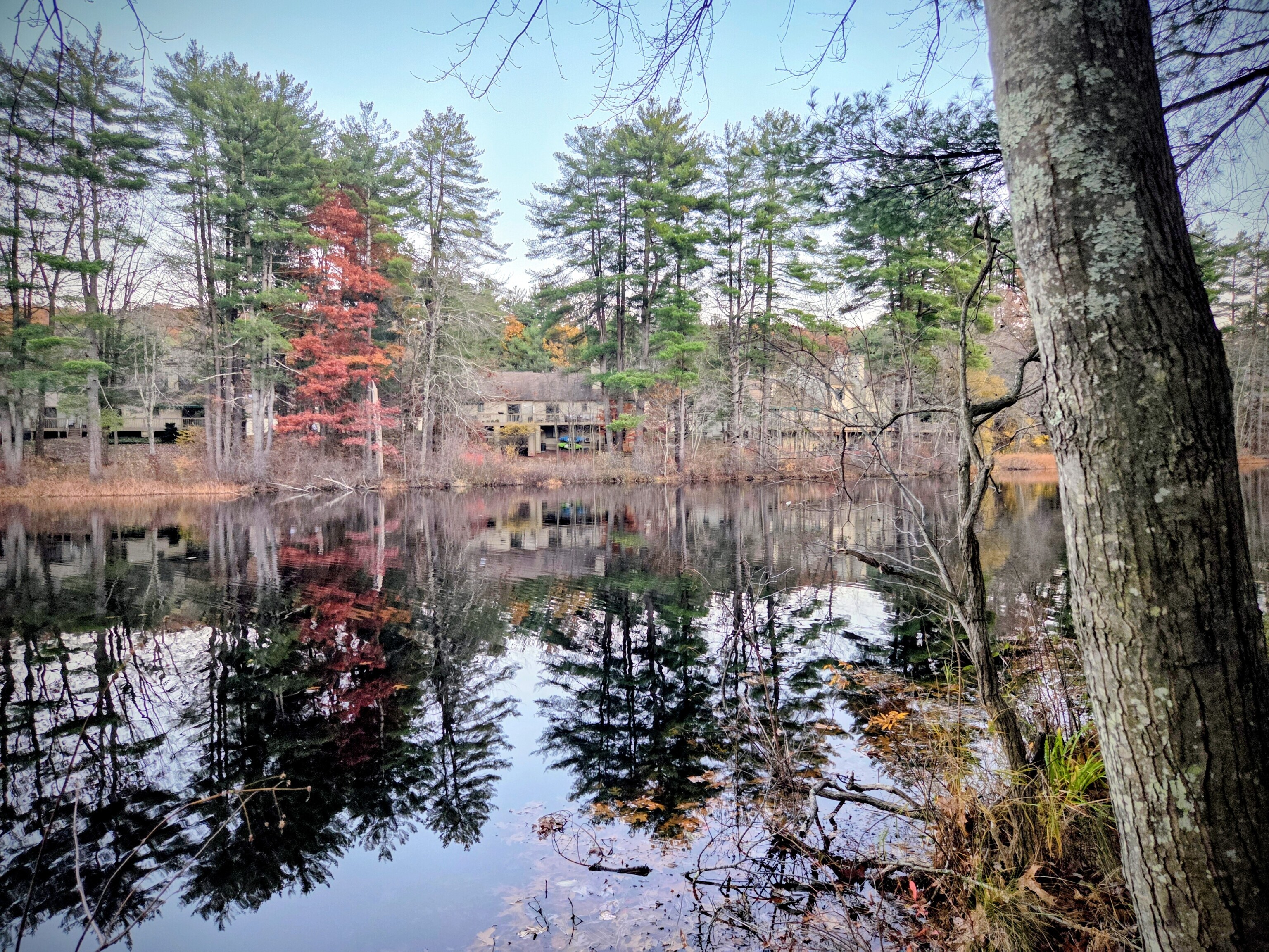 Homes for sale in Avon, CT | 15 Greenwich Ln #15, Avon, CT 06001 | MLS# 24137364