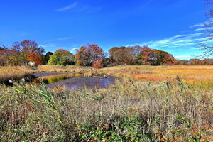 Homes for sale in West Haven, CT | 79 Cooper Rd, West Haven, CT 06516 | MLS# 24139189