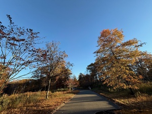 Homes for sale in Newtown, CT | 9 Vona Way, Newtown, CT 06470 | MLS# 24139403