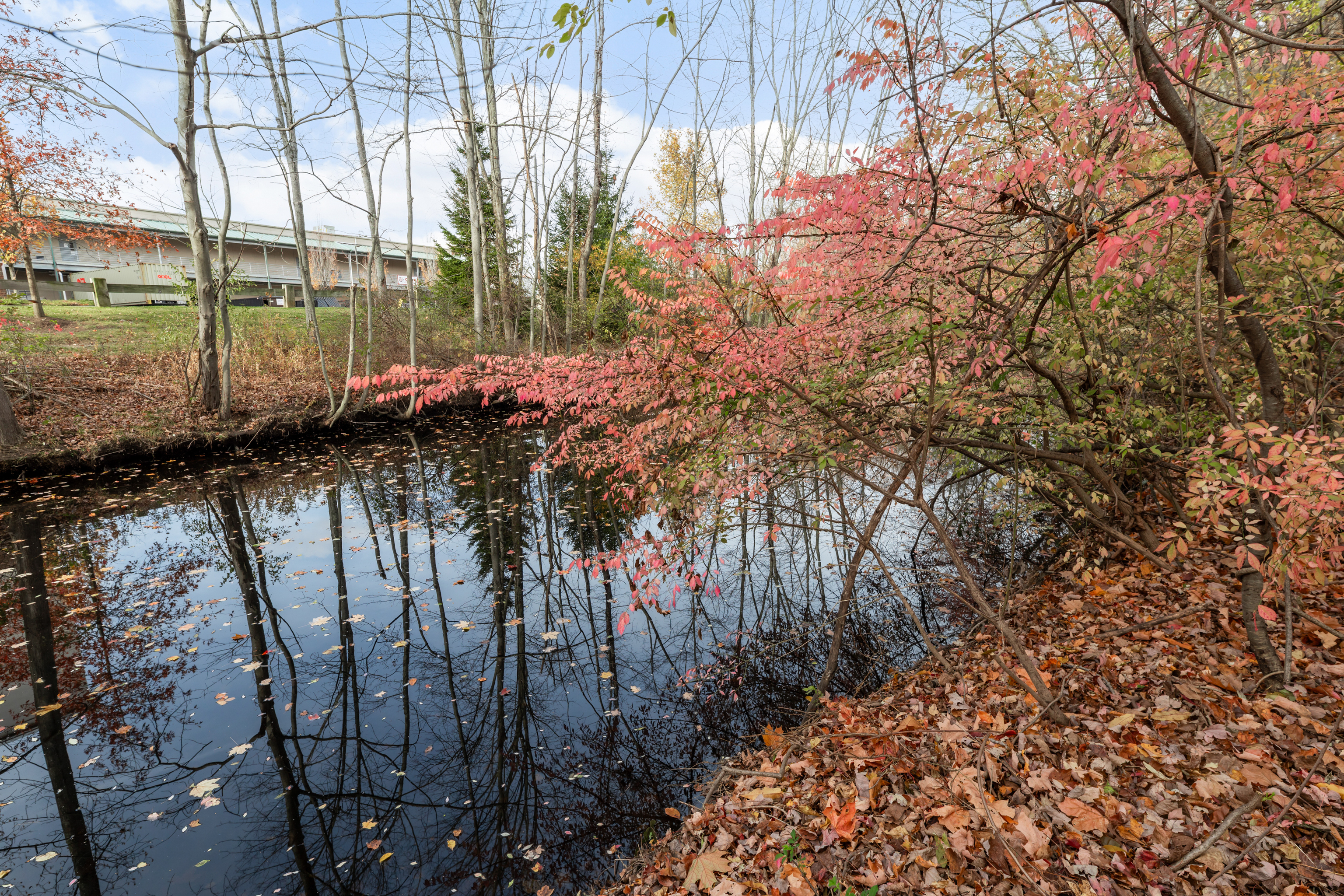 Homes for sale in Milford, CT | 224 Roses Mill Rd, Milford, CT 06460 | MLS# 24139512