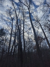 Homes for sale in Marlborough, CT | Phelps Rd, Marlborough, CT 06447 | MLS# 24139598