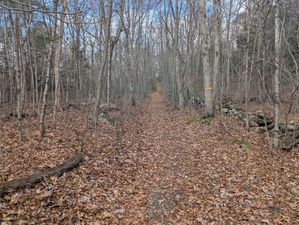 Homes for sale in Marlborough, CT | Phelps Rd, Marlborough, CT 06447 | MLS# 24139598