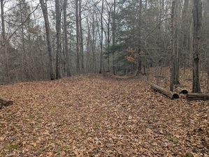 Homes for sale in Marlborough, CT | Phelps Rd, Marlborough, CT 06447 | MLS# 24139598