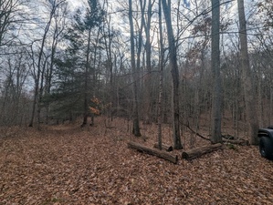 Homes for sale in Marlborough, CT | Phelps Rd, Marlborough, CT 06447 | MLS# 24139598