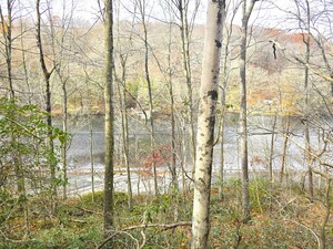 Homes for sale in Plymouth, CT | 123 Todd Hollow Rd, Plymouth, CT 06782 | MLS# 24139642