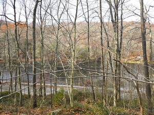 Homes for sale in Plymouth, CT | 123 Todd Hollow Rd, Plymouth, CT 06782 | MLS# 24139642