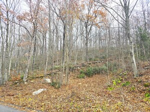 Homes for sale in Plymouth, CT | 123 Todd Hollow Rd, Plymouth, CT 06782 | MLS# 24139642