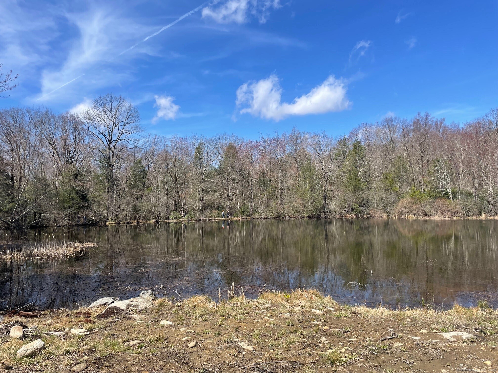 Homes for sale in Torrington, CT | Meyer Rd, Torrington, CT 06790 | MLS# 24139900