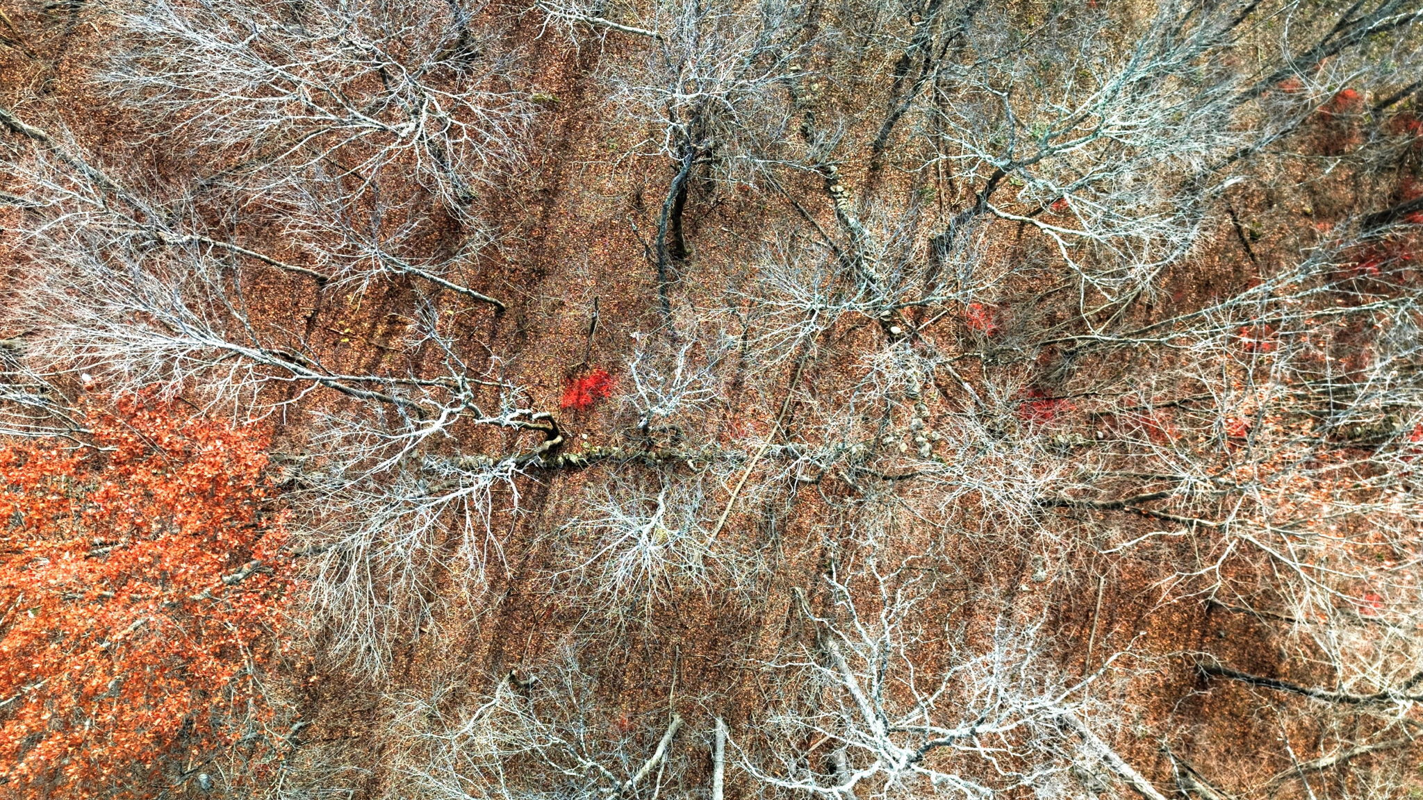 Homes for sale in Bolton, CT | 126 Hebron Rd, Bolton, CT 06043 | MLS# 24140042