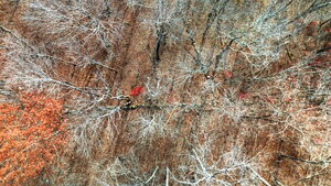 Homes for sale in Bolton, CT | 126 Hebron Rd, Bolton, CT 06043 | MLS# 24140042