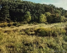 Homes for sale in Wallingford, CT | 201 New Cheshire Rd, Wallingford, CT 06492 | MLS# 24140177