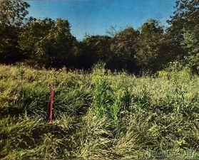 Homes for sale in Wallingford, CT | 201 New Cheshire Rd, Wallingford, CT 06492 | MLS# 24140177