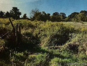 Homes for sale in Wallingford, CT | 201 New Cheshire Rd, Wallingford, CT 06492 | MLS# 24140177