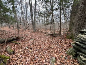 Homes for sale in Thompson, CT | Wilsonville Rd, Thompson, CT 06277 | MLS# 24140220