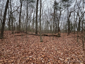 Homes for sale in Thompson, CT | Wilsonville Rd, Thompson, CT 06277 | MLS# 24140220