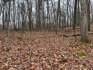 Homes for sale in Thompson, CT | Wilsonville Rd, Thompson, CT 06277 | MLS# 24140220