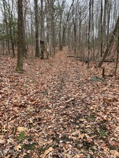 Homes for sale in Thompson, CT | Wilsonville Rd, Thompson, CT 06277 | MLS# 24140220