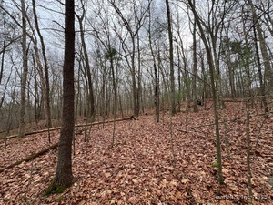 Homes for sale in Thompson, CT | Wilsonville Rd, Thompson, CT 06277 | MLS# 24140220