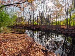 Homes for sale in Shelton, CT | 205 Nichols Ave, Shelton, CT 06484 | MLS# 24140396