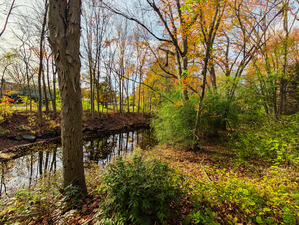 Homes for sale in Shelton, CT | 205 Nichols Ave, Shelton, CT 06484 | MLS# 24140396