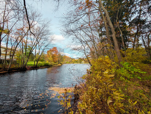 Homes for sale in Shelton, CT | 205 Nichols Ave, Shelton, CT 06484 | MLS# 24140396