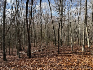 Homes for sale in East Lyme, CT | Chesterfield Rd, East Lyme, CT 06333 | MLS# 24140615