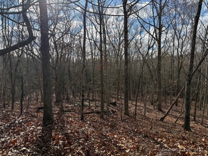 Homes for sale in East Lyme, CT | Chesterfield Rd, East Lyme, CT 06333 | MLS# 24140615