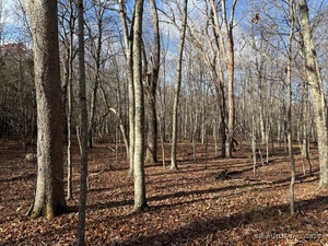 Homes for sale in East Lyme, CT | Chesterfield Rd, East Lyme, CT 06333 | MLS# 24140615