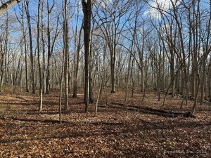 Homes for sale in East Lyme, CT | Chesterfield Rd, East Lyme, CT 06333 | MLS# 24140615