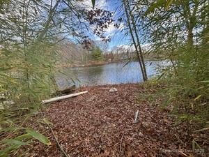 Homes for sale in Shelton, CT | 33 Walnut Tree Hill Rd, Shelton, CT 06484 | MLS# 24140793