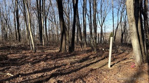 Homes for sale in Newtown, CT | 44 Orchard Hill Rd, Newtown, CT 06470 | MLS# 24140911