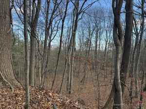 Homes for sale in West Hartford, CT | 16 Morningcrest Dr, West Hartford, CT 06117 | MLS# 24141072