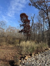 Homes for sale in Branford, CT | 71 Hilltop Dr, Branford, CT 06405 | MLS# 24141096