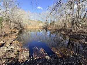 Homes for sale in Canterbury, CT | Hanover Rd, Canterbury, CT 06331 | MLS# 24141194