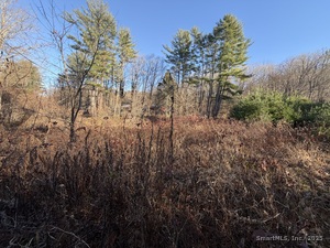 Homes for sale in Cornwall, CT | 70 Kent Rd S, Cornwall, CT 06754 | MLS# 24140028