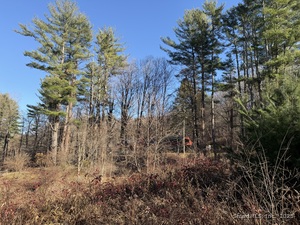 Homes for sale in Cornwall, CT | 70 Kent Rd S, Cornwall, CT 06754 | MLS# 24140028