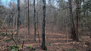 Homes for sale in Harwinton, CT | Campville Hill Rd, Harwinton, CT 06791 | MLS# 24141320