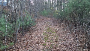 Homes for sale in Harwinton, CT | Campville Hill Rd, Harwinton, CT 06791 | MLS# 24141320