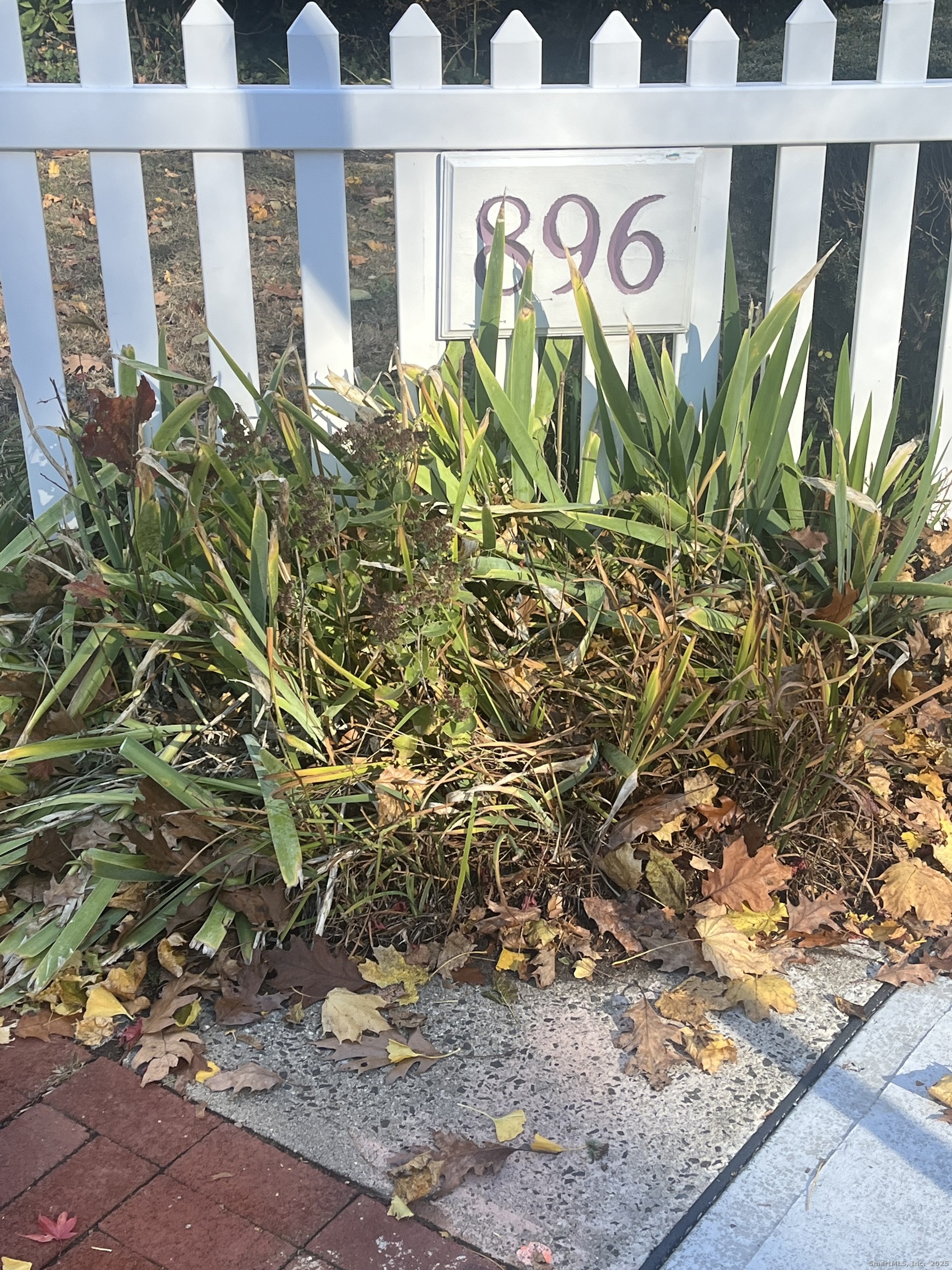 896 Quinnipiac, New Haven, 06513, 2 Bedrooms Bedrooms, 0 ,2 BathroomsBathrooms,Residential Rental,For Sale,Quinnipiac,0,24138508